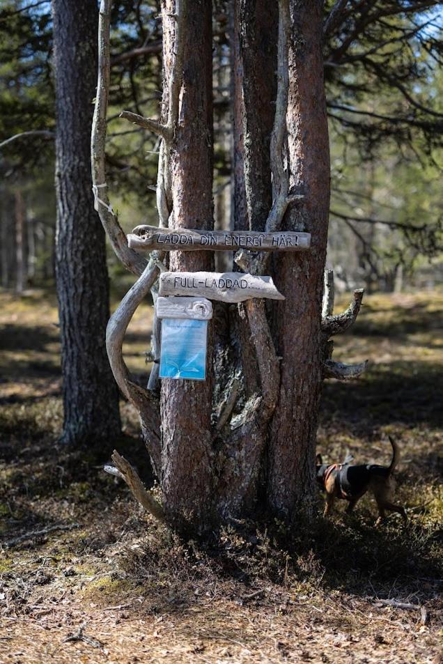 Nordic Lapland Frevisoeren Hotel Båtskärsnäs Buitenkant foto