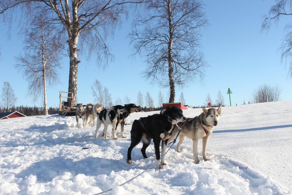 Nordic Lapland Frevisoeren Hotel Båtskärsnäs Buitenkant foto